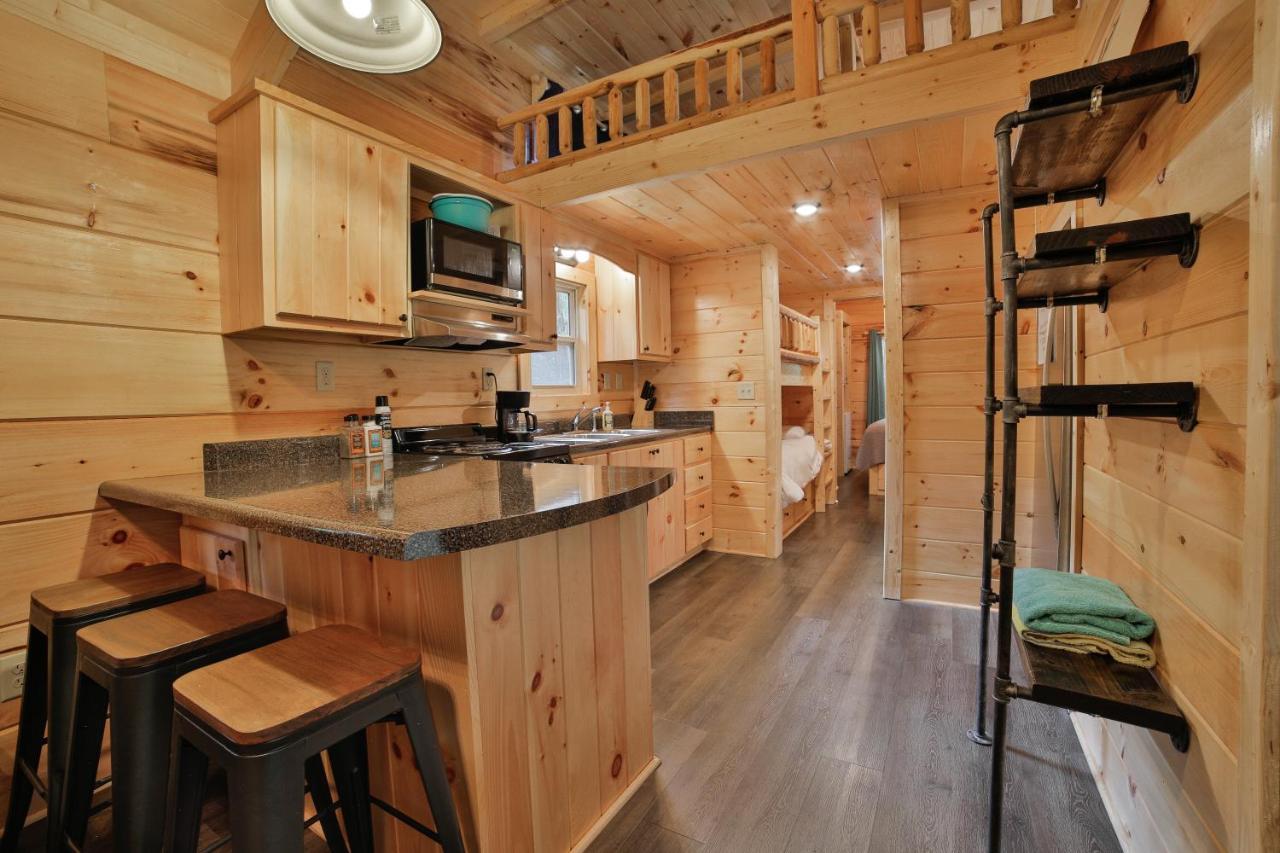 Thomas Cabin Forest Tiny Cabin With Hot Tub 查塔努加 外观 照片